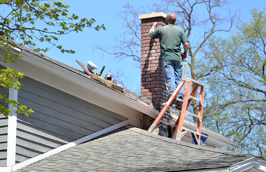 Chimney & Fireplace Inspections Services in Warrington, FL